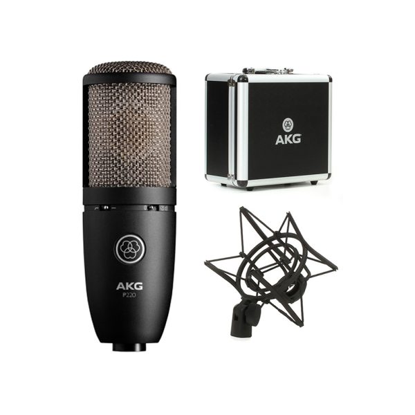 AKG P220 Microphone - Image 2